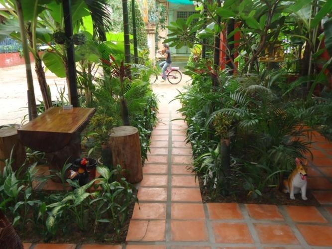 Ladybug Guesthouse Siem Reap Bagian luar foto